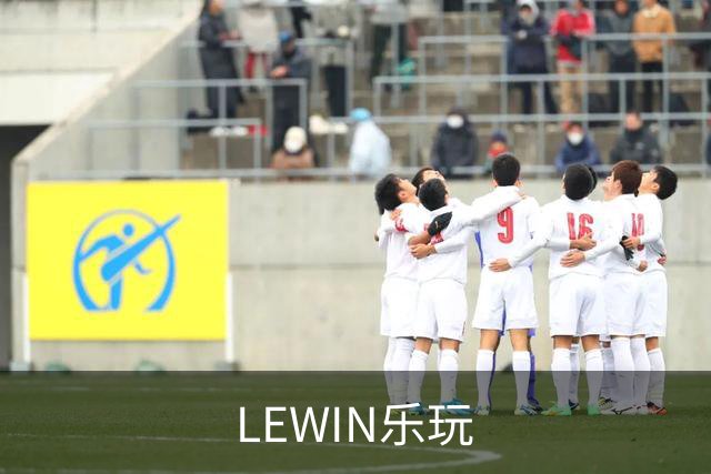 LEWIN乐玩公司介绍展示图